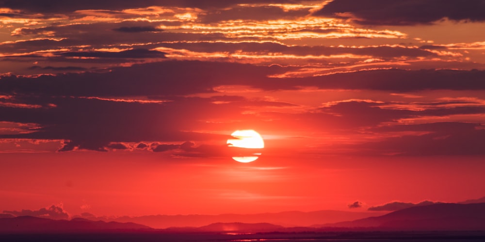 多屏幕电视墙同时播放不同足球和篮球比赛的直播画面